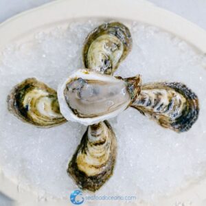Beausoleil Oysters