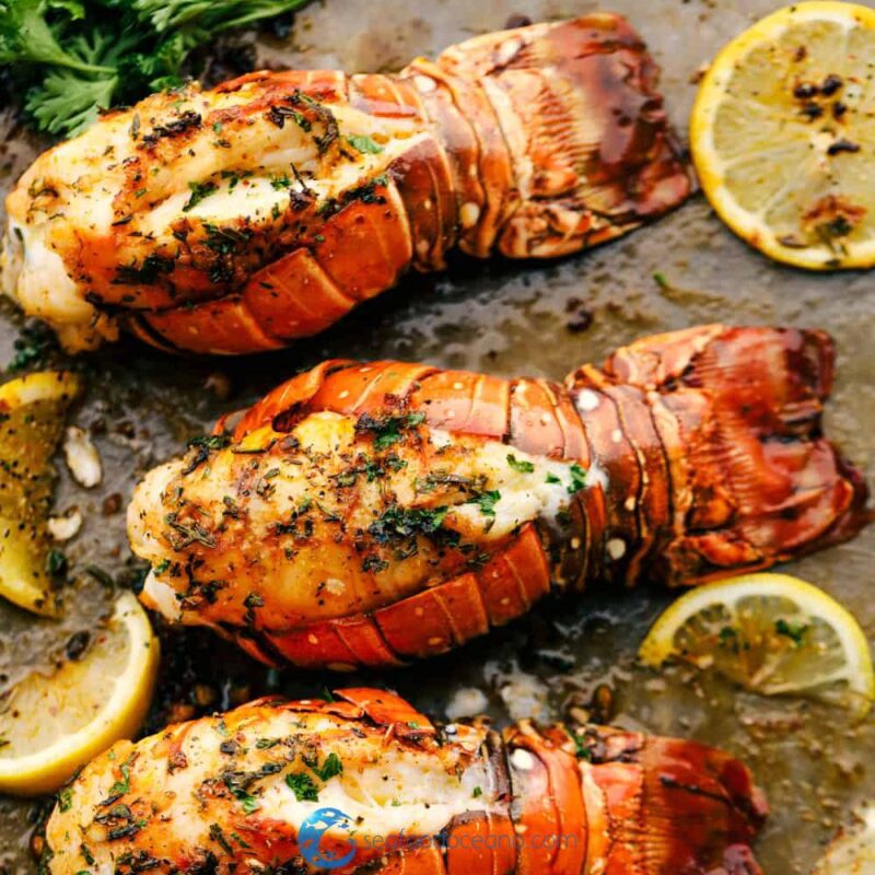 Colossal Lobster Tails - Image 3