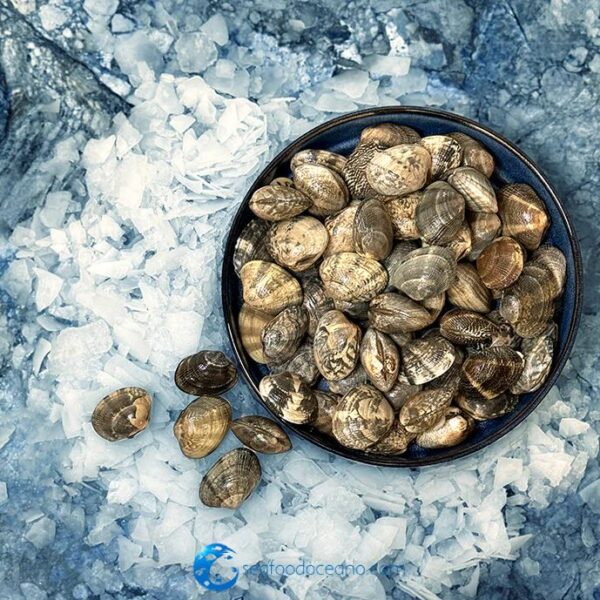 Fresh Manila Steamer Clams - Image 2