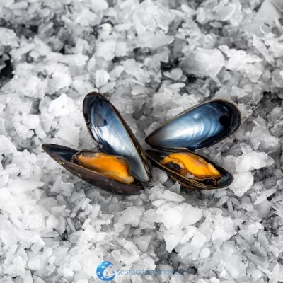 PEI Blue Mussels