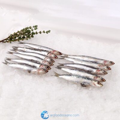 European Anchovies