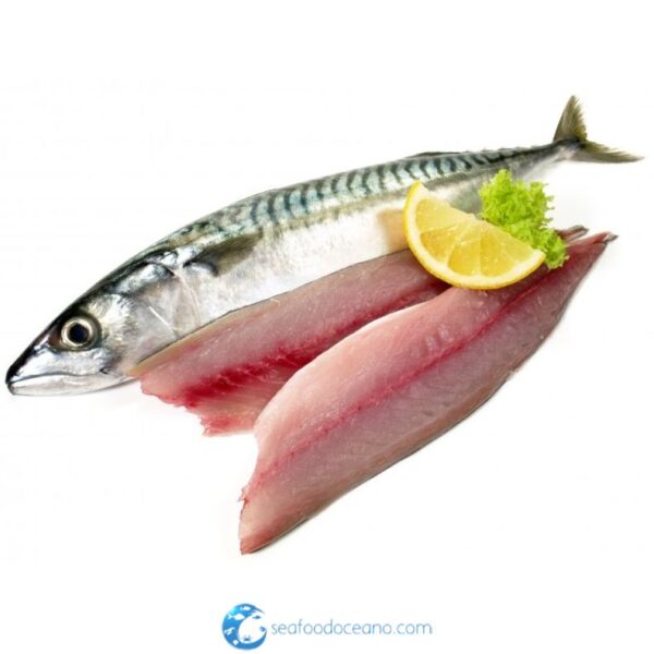 King Mackerel Steaks - Image 3