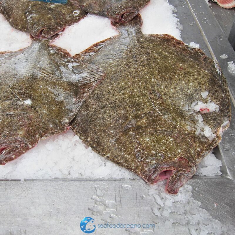 Turbot Whole - Image 2