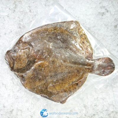 Turbot Whole