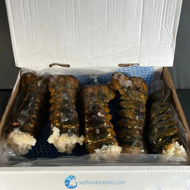 Colossal Lobster Tails - Image 2