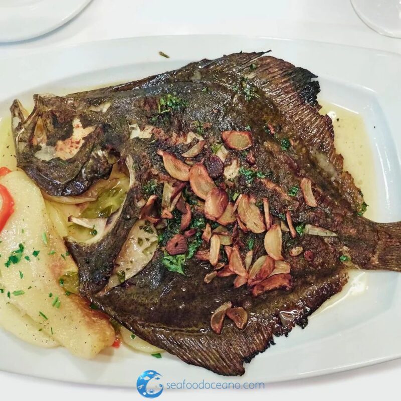 Turbot Whole - Image 3