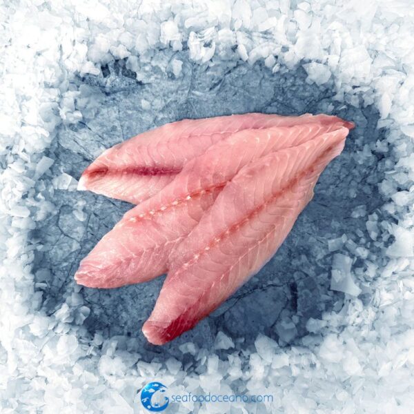 Fresh Red Snapper Fillets