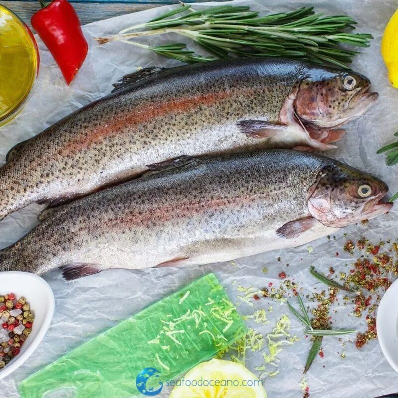 Tasmanian Trout Whole - Image 3