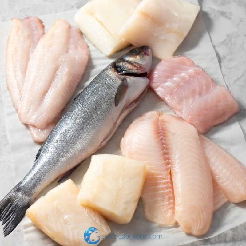 Whitefish Whole