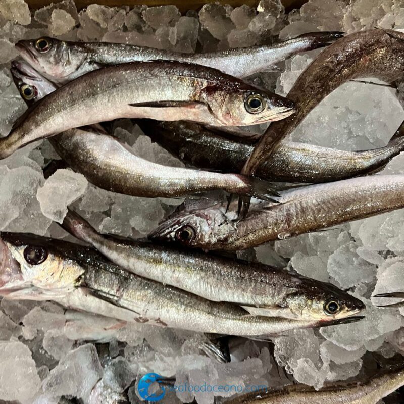 Whiting Whole - Image 2