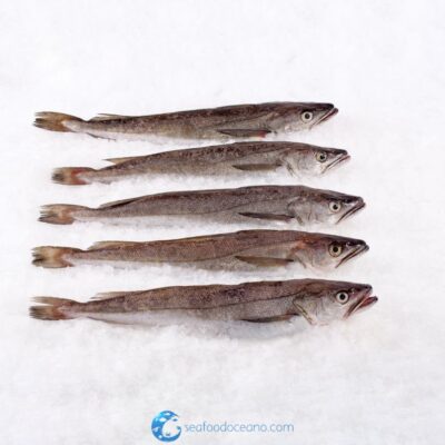 Whiting Whole