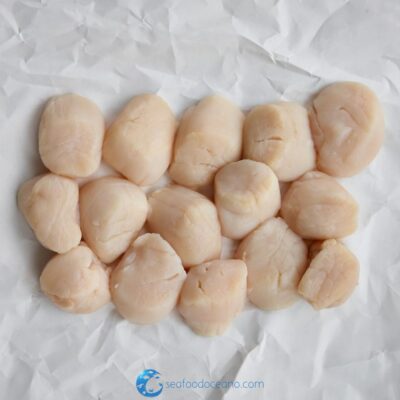 Wild Sea Scallops
