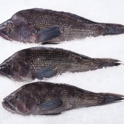 Black Sea Bass Whole