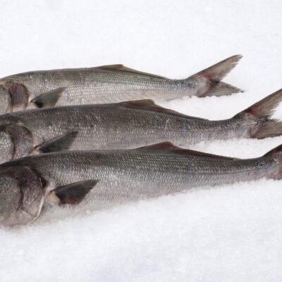 Bluefish Whole
