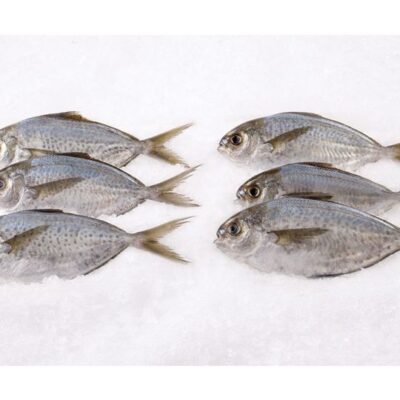 Butterfish Whole