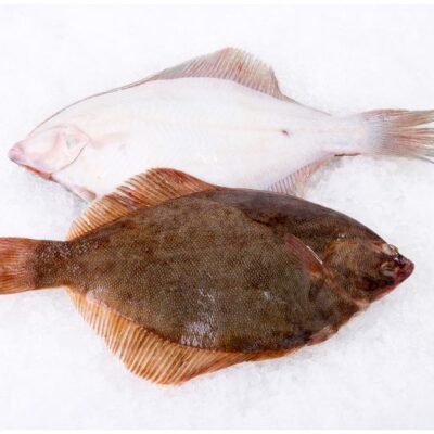 Flounder Whole