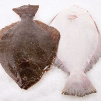 Fluke Whole