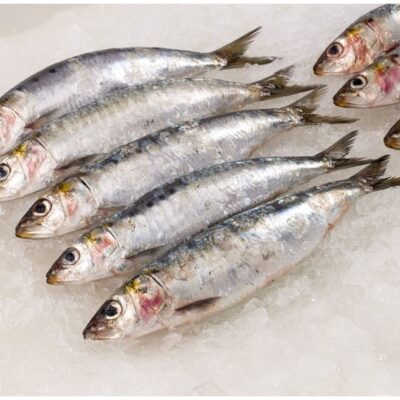 Imported Sardines
