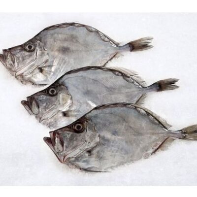 John Dory Whole