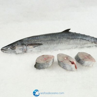 King Mackerel Steaks