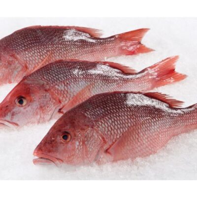Red Snapper Whole
