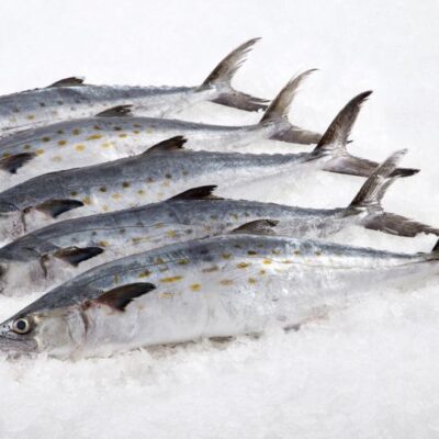 Spanish Mackerel Whole