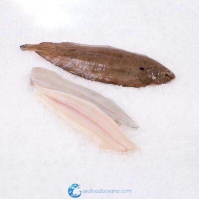 Dover Sole Whole