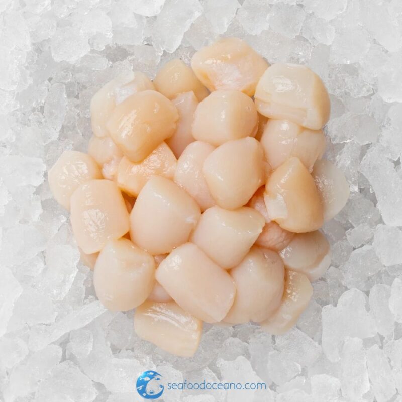 Cape Cod Bay Scallops - Image 2