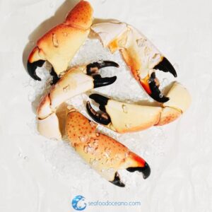 Stone Crab Claws