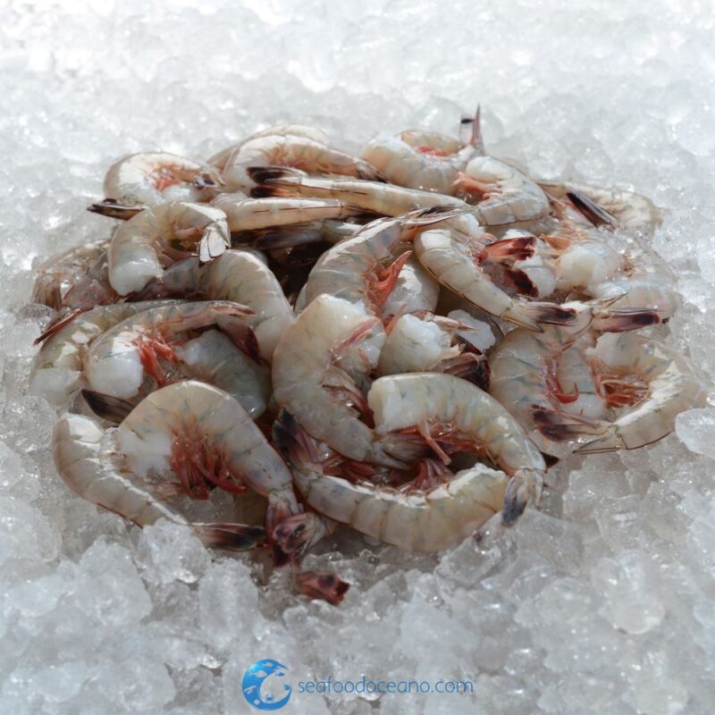 U10 Jumbo Shrimp - Image 2