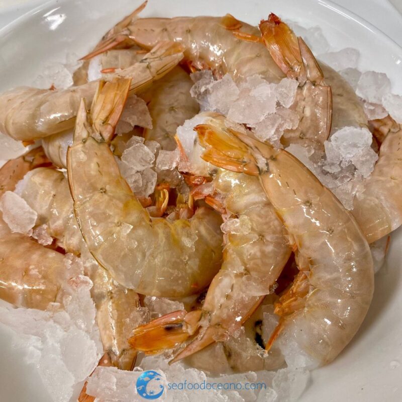 Large Brown Shrimp - Image 2