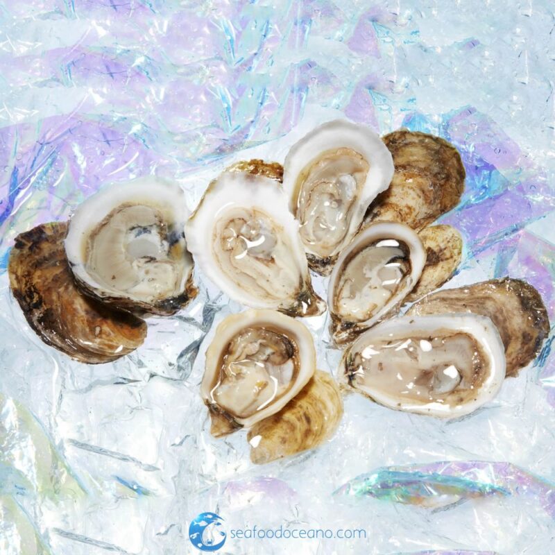 Peconic Oysters - Image 2