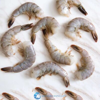 Medium Carolina Shrimp