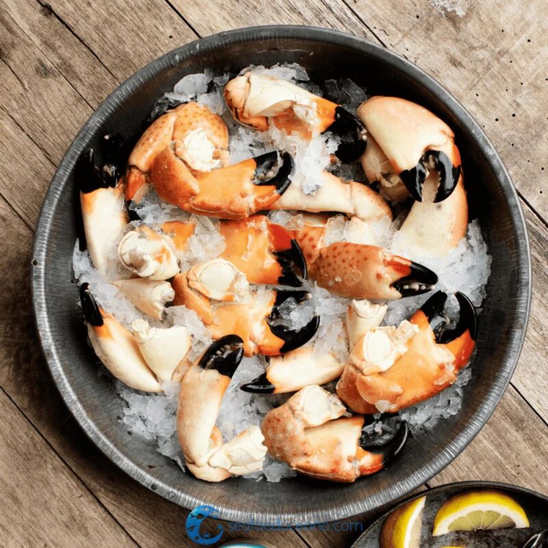 Stone Crab Claws - Image 2
