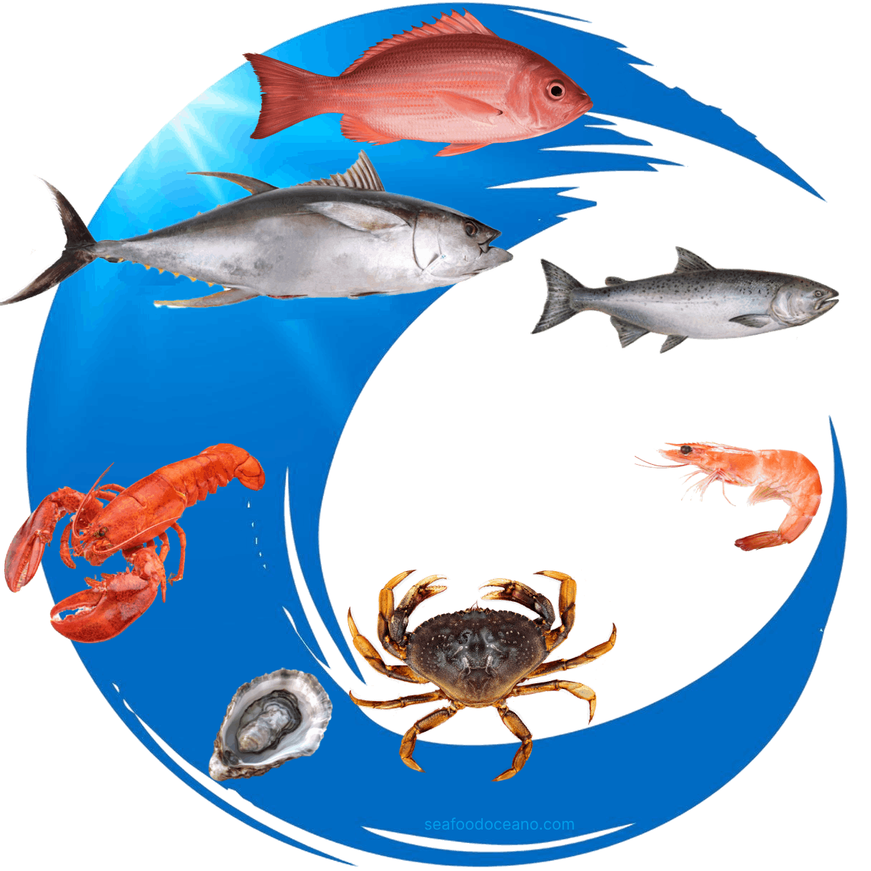 wholesale seafood supplier