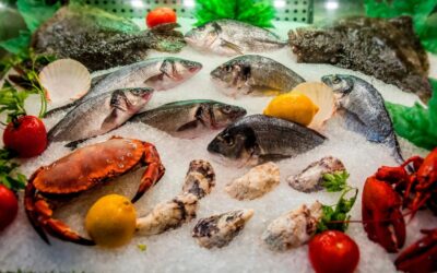 Fresh or Frozen Seafood? Myths, Facts, and Smarter Choices for Restaurant Owners